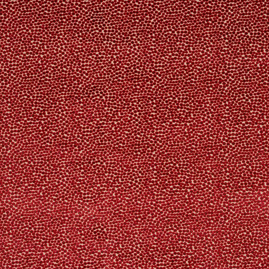 Darwin Red — Jane Churchill fabric