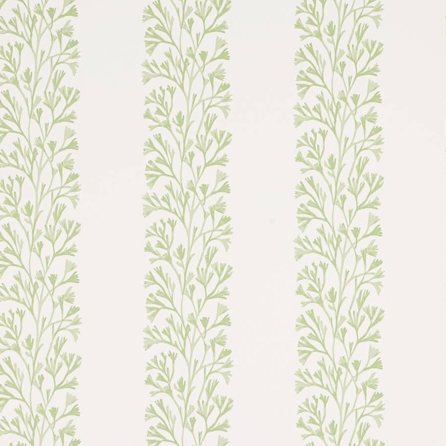 Dita Green — Jane Churchill behang