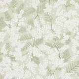 Mimosa Green — Jane Churchill behang