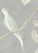 Adam's Eden Wallpaper Sample Honey Dove