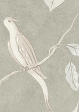 Adam's Eden Wallpaper Sample Pumice