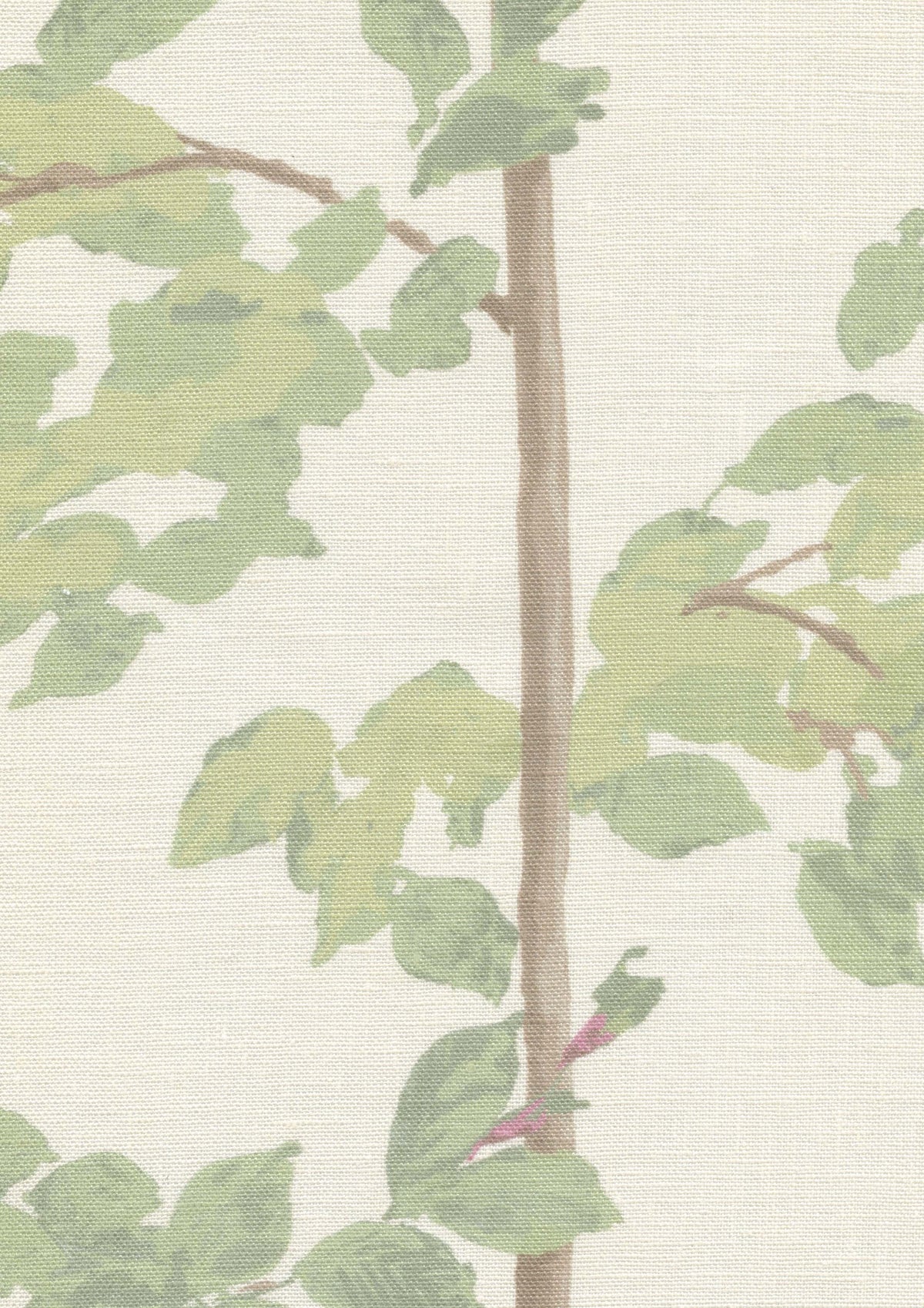 Beech Document Green — Lewis & Wood stof