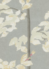 Beech Dove — Lewis & Wood stof