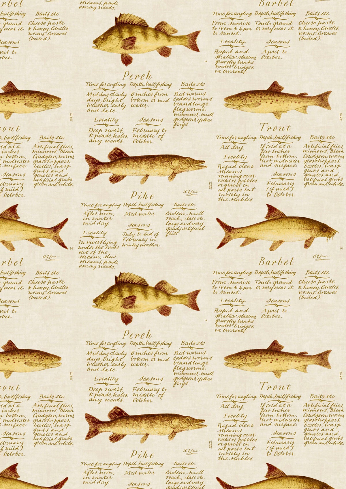 European Fish European Fish – Nahaufnahme — Lewis & Wood Tapete