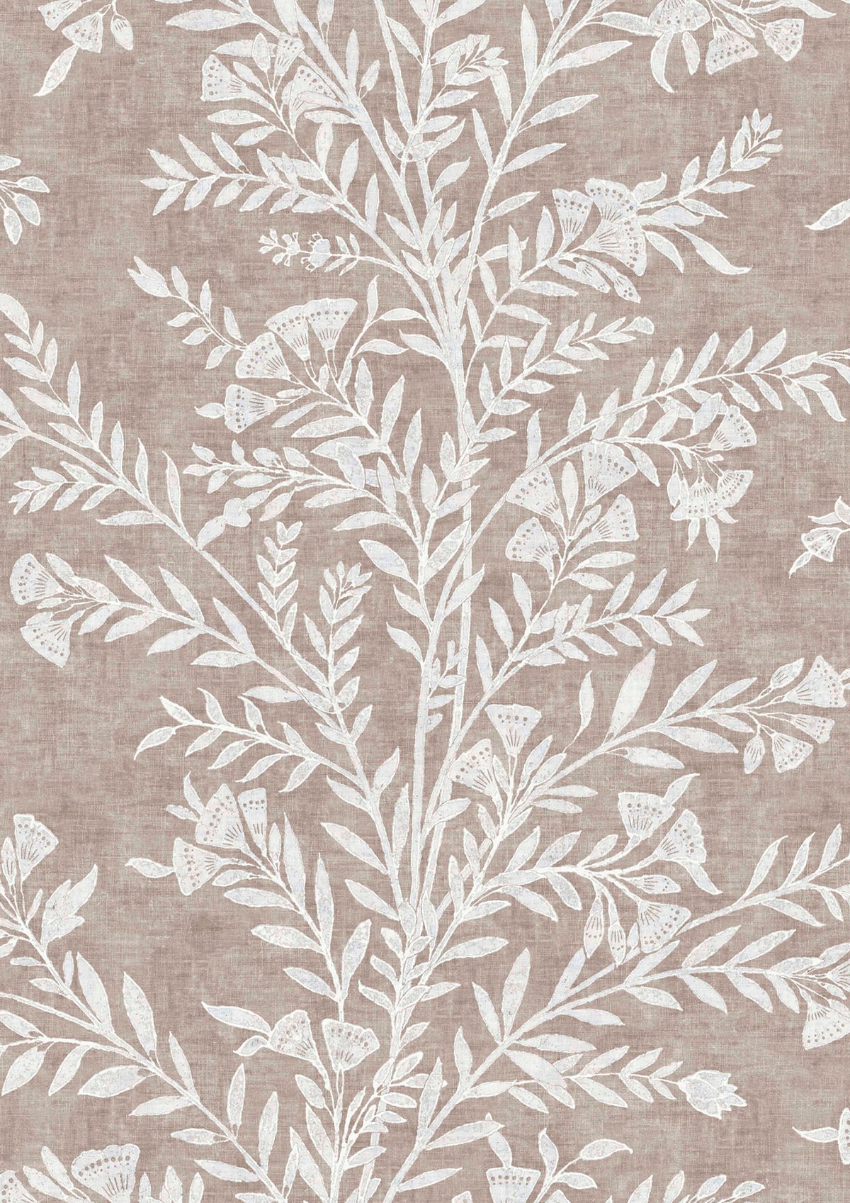 Fan Flower Plaster – Nahaufnahme — Lewis & Wood Tapete