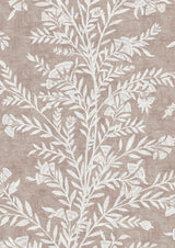 Fan Flower Plaster – Nahaufnahme — Lewis & Wood Tapete