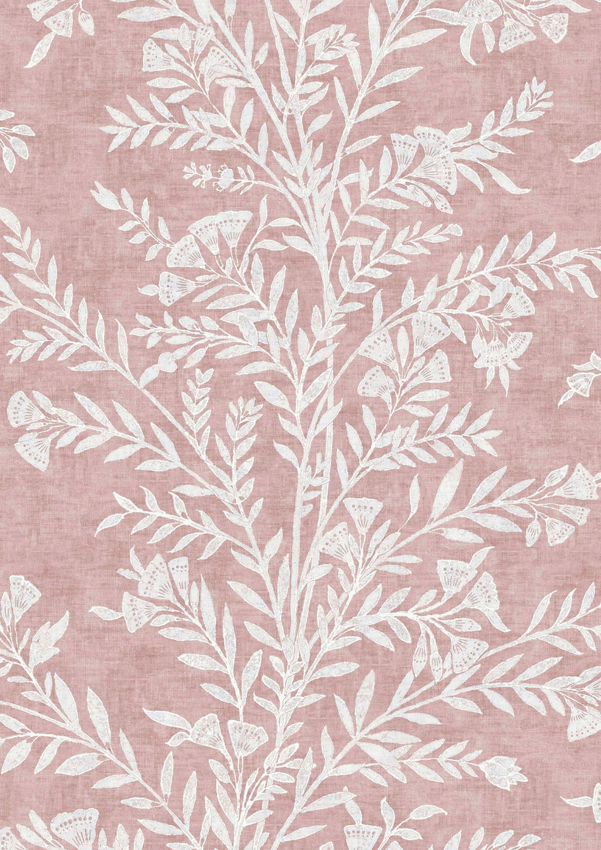 Fan Flower Shell – Nahaufnahme — Lewis & Wood Tapete