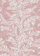 Fan Flower Shell – Nahaufnahme — Lewis & Wood Tapete