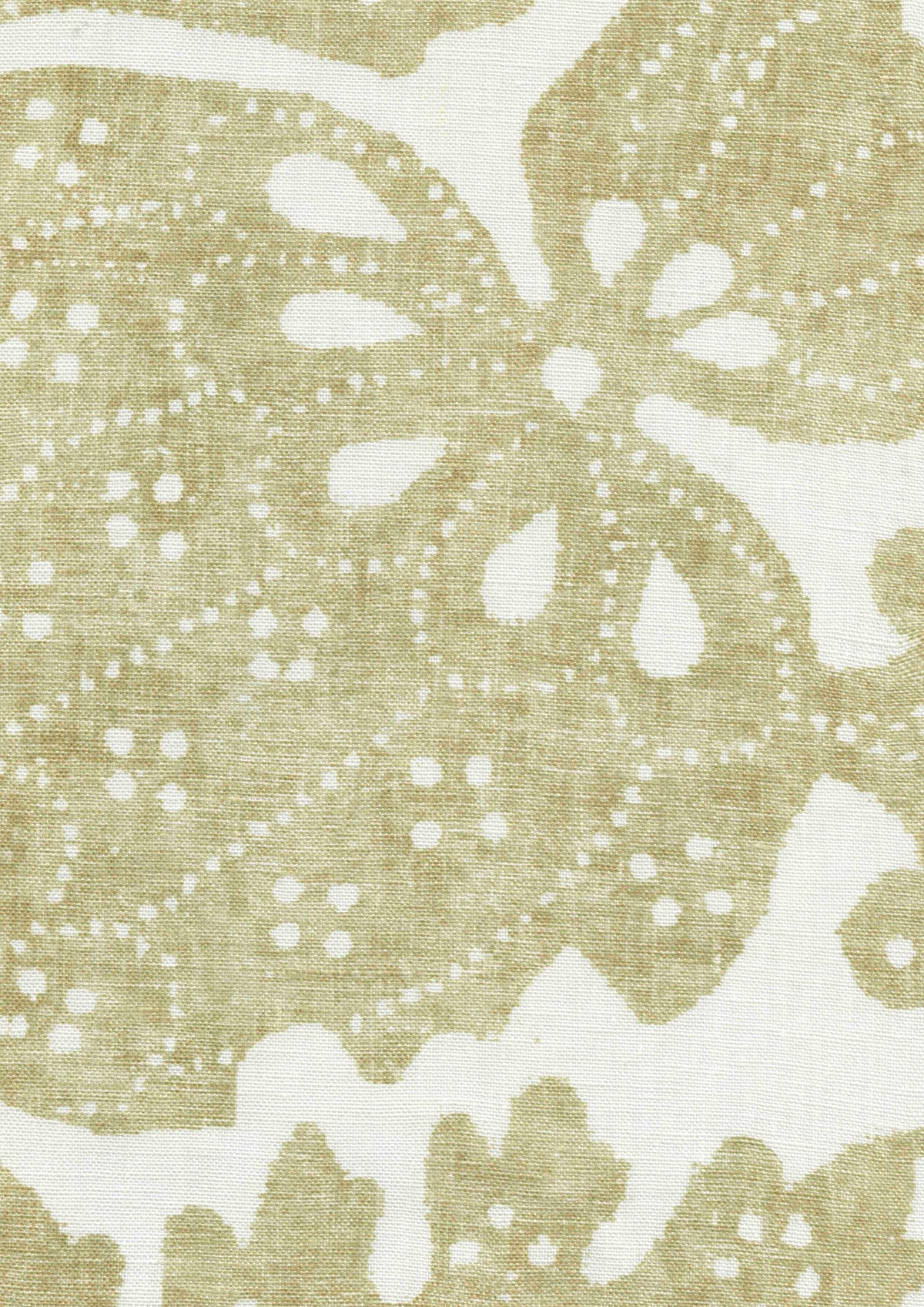 Pomegranate Fresco Chicory — Lewis & Wood fabric