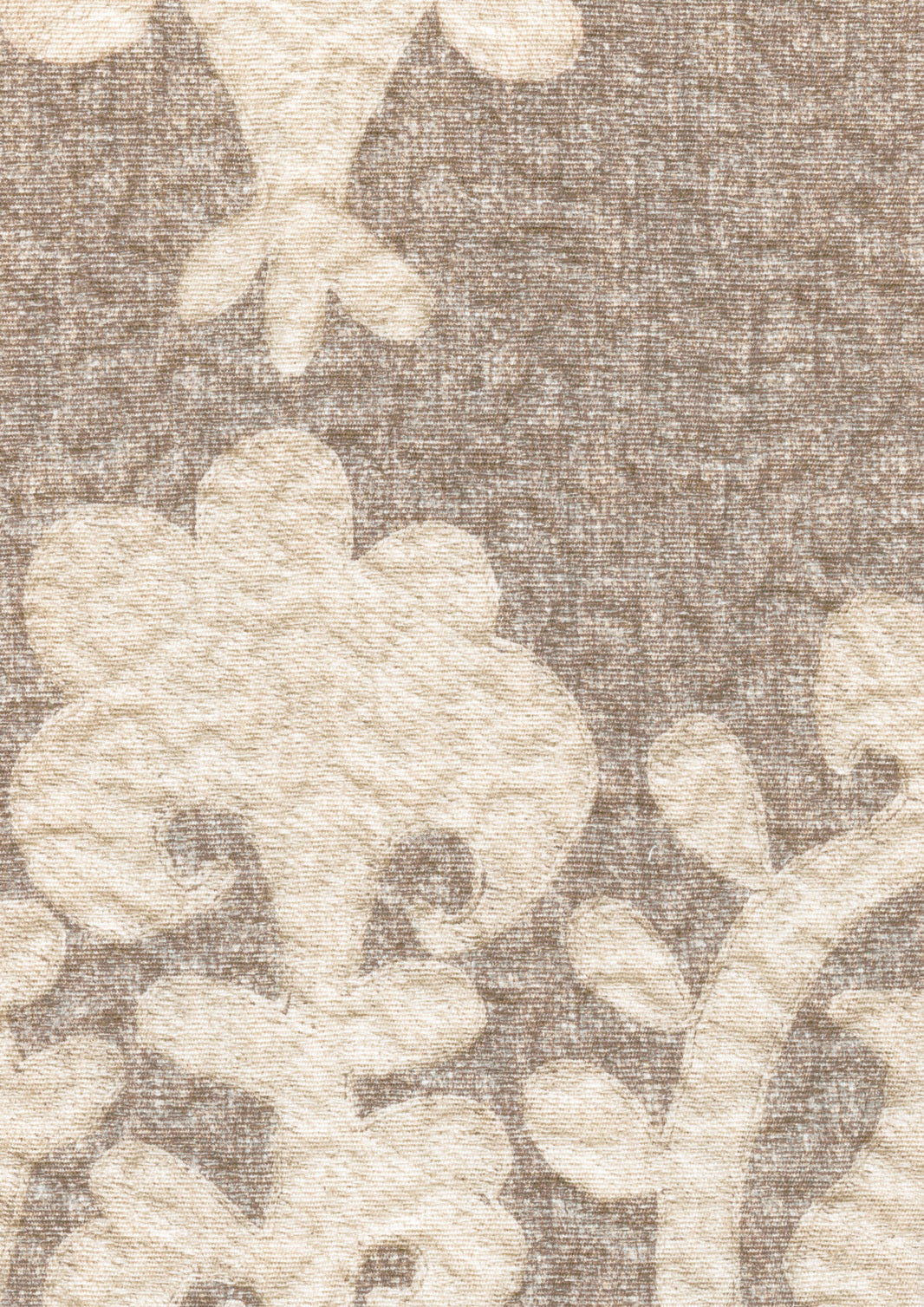 Saracen Pumice — Lewis & Wood stof