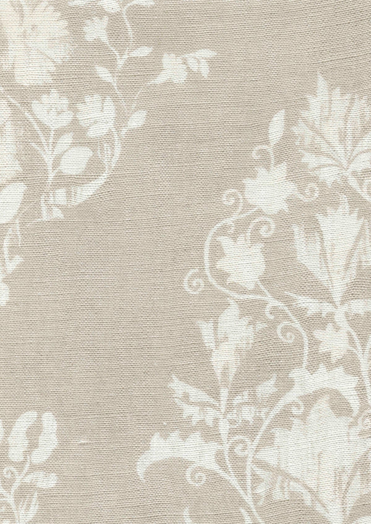 Sicilia Parchment — Lewis & Wood tyg