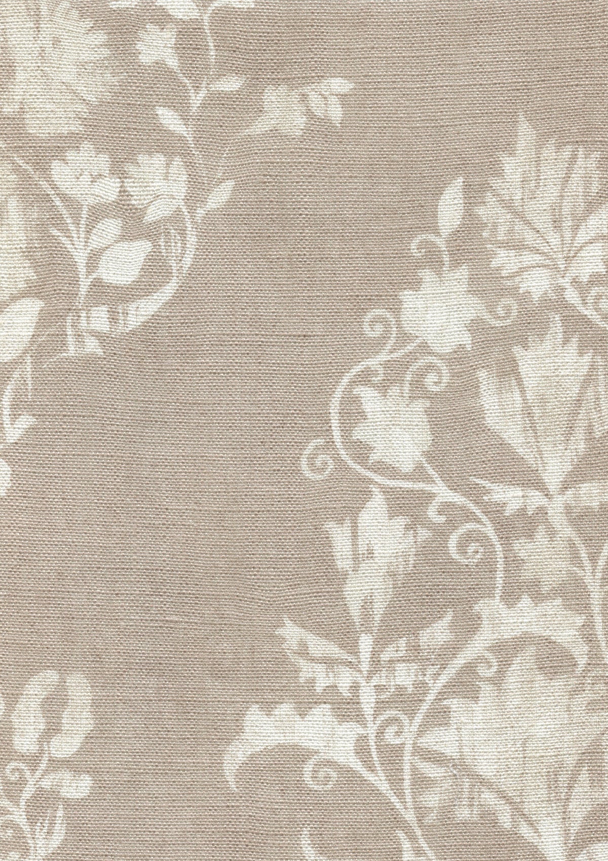 Sicilia Plaster — Lewis & Wood tyg