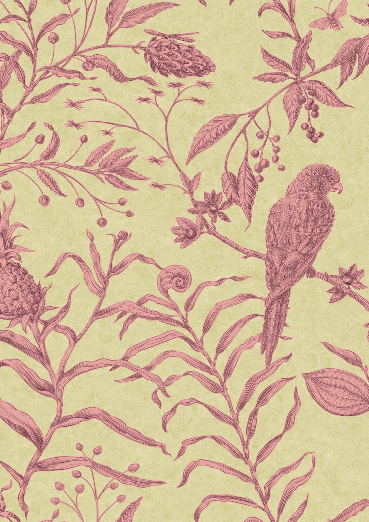 Squawk Cantaloupe – närbild — Lewis & Wood tapet