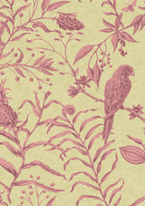 Squawk Cantaloupe – närbild — Lewis & Wood tapet