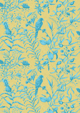 Squawk Curaçao – hel bredd — Lewis & Wood tapet