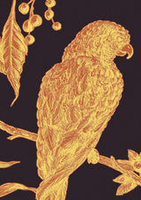 Squawk Ink — Lewis & Wood tapet