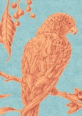 Squawk Behangstaal Jaffa