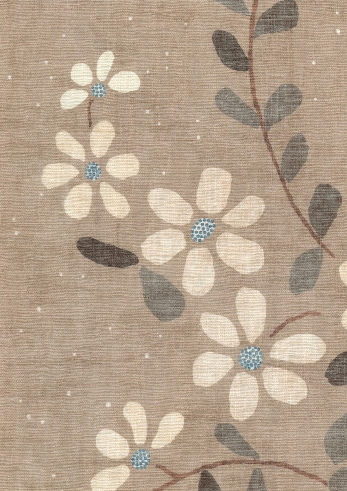 Stellata Cardamom — Lewis & Wood Stoff