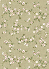 Stellata Daisy – volle Breite — Lewis & Wood Tapete