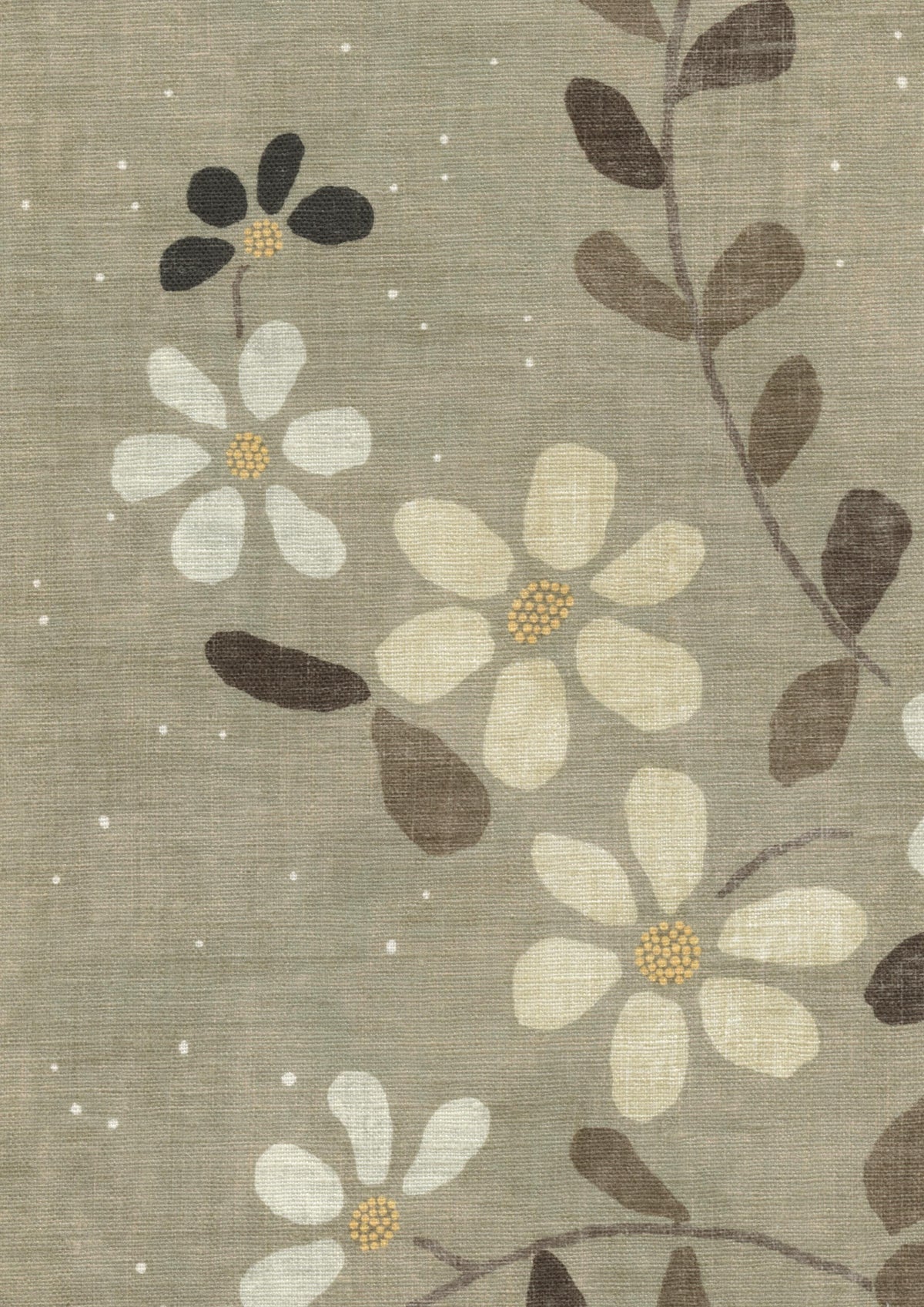 Stellata Juniper — Lewis & Wood Stoff