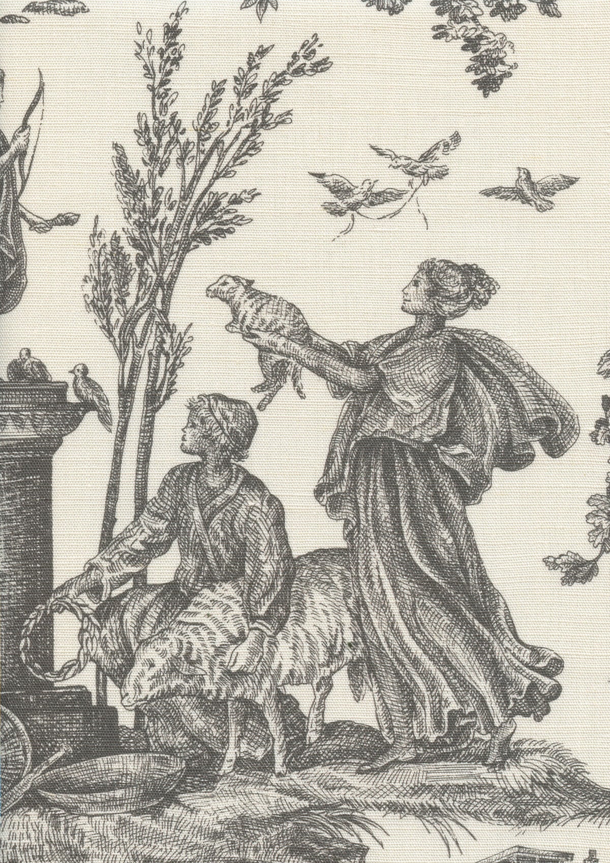 Toile Baptiste Douce Noir — Lewis & Wood Stoff