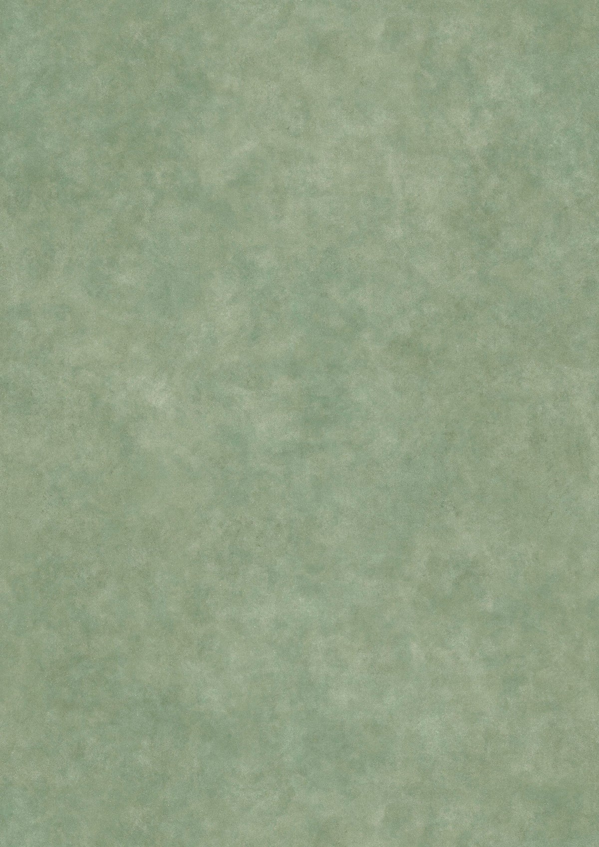 Turner's Texture Cactus – hel bredd — Lewis & Wood tapet