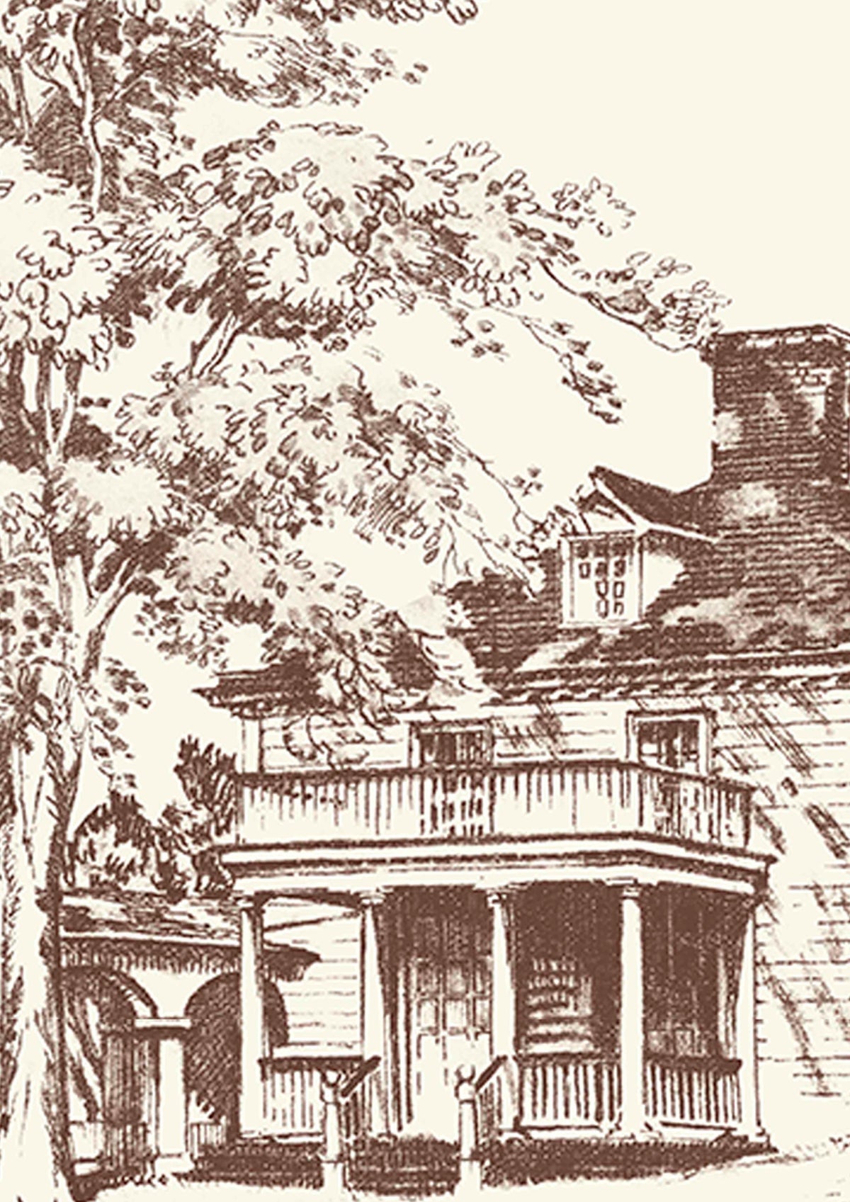 Washington Toile Library — Lewis & Wood behang
