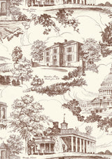 Washington Toile Library – close-up — Lewis & Wood behang