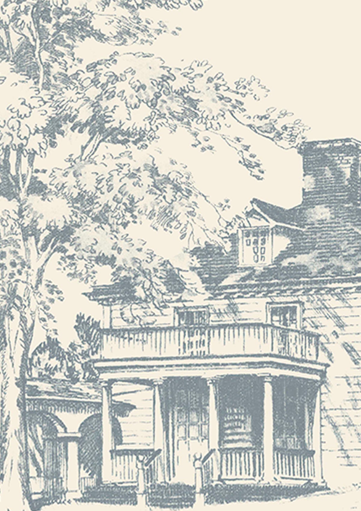 Washington Toile Potomac — Lewis & Wood behang