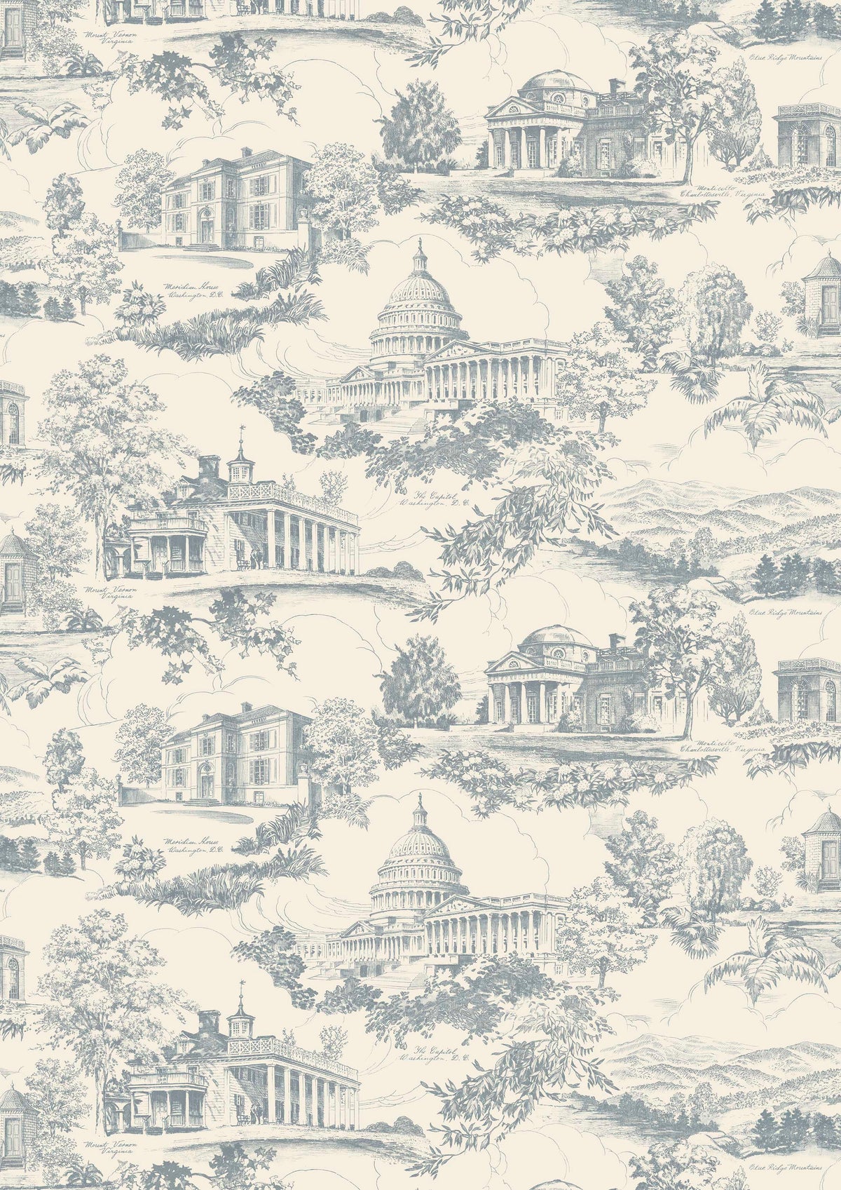 Washington Toile Potomac – volle breedte — Lewis & Wood behang