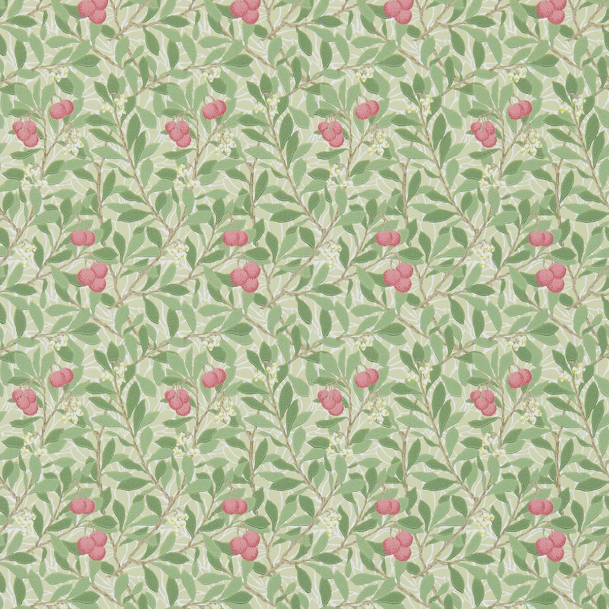 Arbutus Behang Olive/Pink