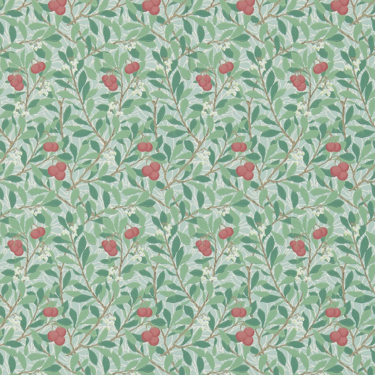 Arbutus Behang Thyme/Coral