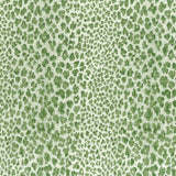 Bagatelle Weave Green/Ivory — Nina Campbell -kangas