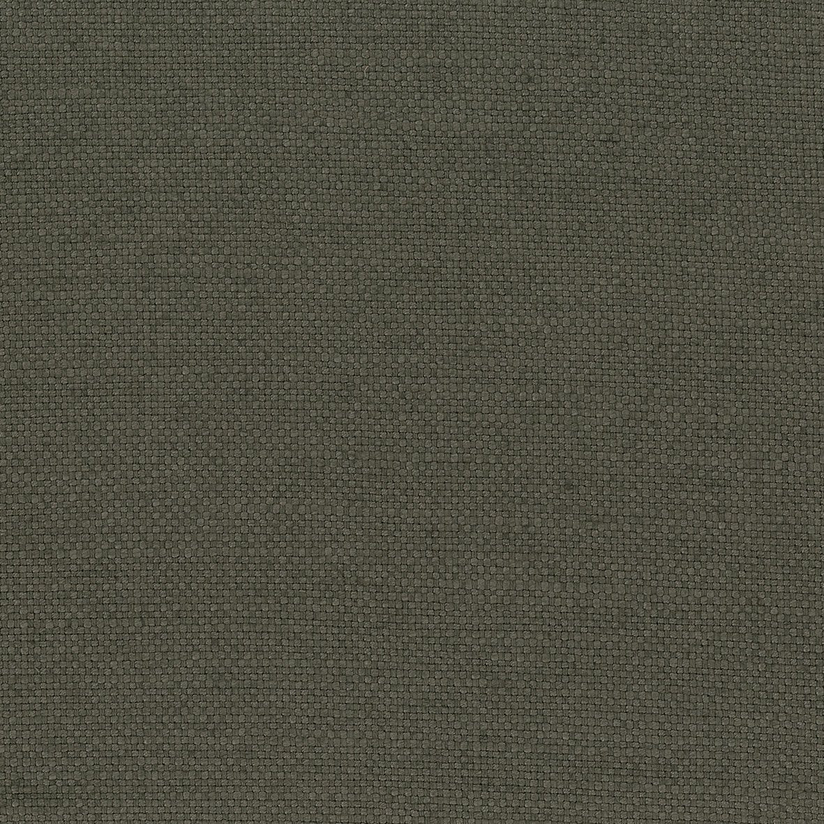 Colette Taupe — Nina Campbell tyg