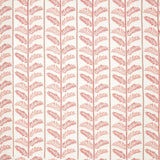 Plumier Rose/Ivory — Nina Campbell -kangas