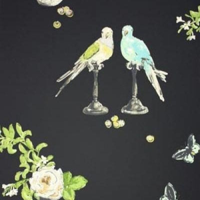 Perroquet Black/Multi — Nina Campbell -tapetti