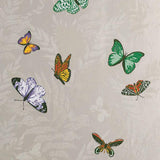 Farfalla Ivory/Multi — Nina Campbell -tapetti