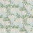 Aqua/Green