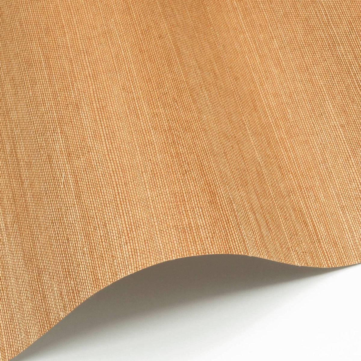Sisal 143 — Nobilis tapetprov