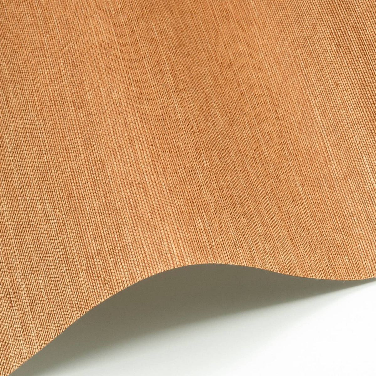Sisal 146 — Nobilis tapetprov