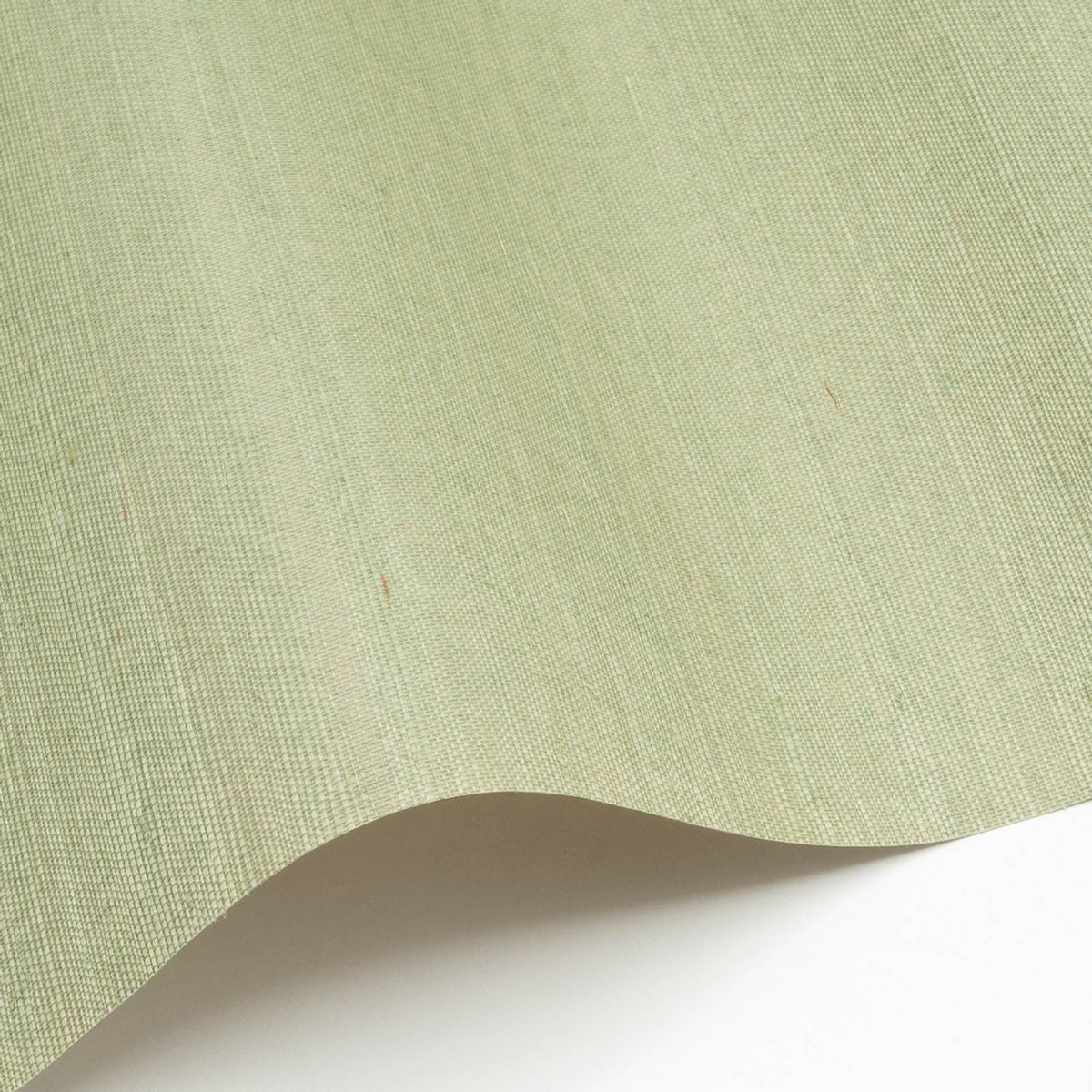 Sisal 156 — Nobilis tapetprov