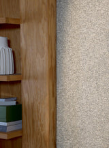 Terry room setting — Pierre Frey fabric