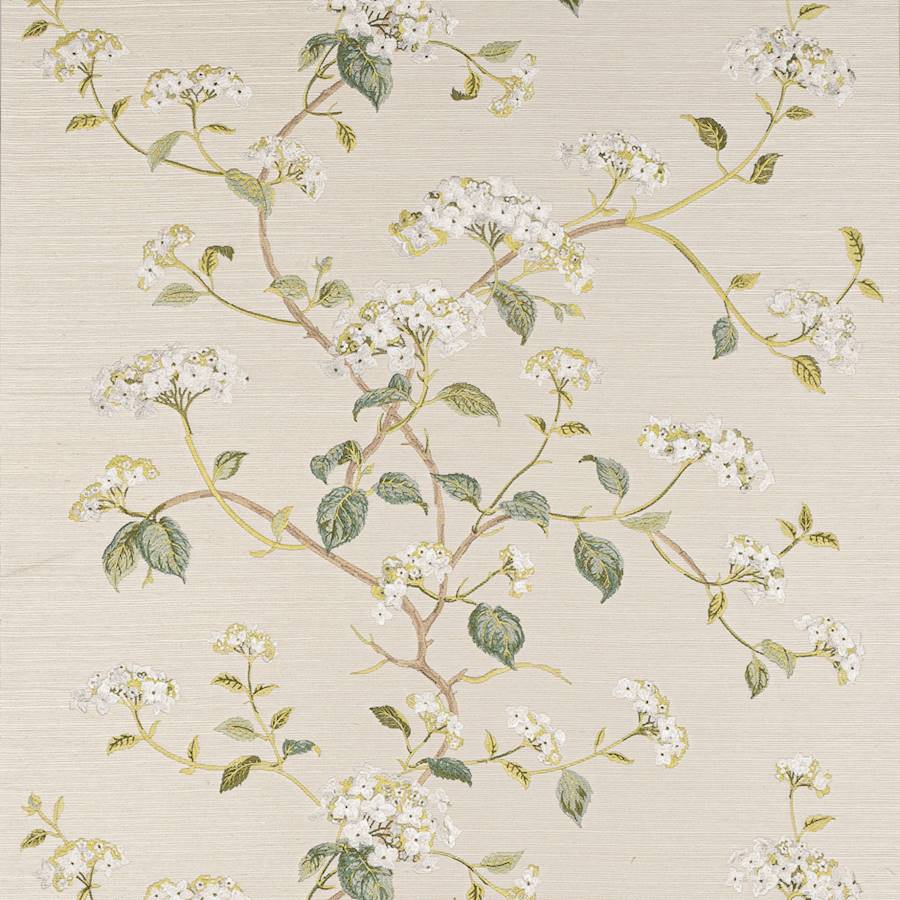 Summerby Ivory — Colefax & Fowler -tapetti