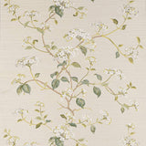 Summerby Ivory — Colefax & Fowler -tapetti