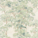 Arbour Green — Colefax & Fowler wallpaper