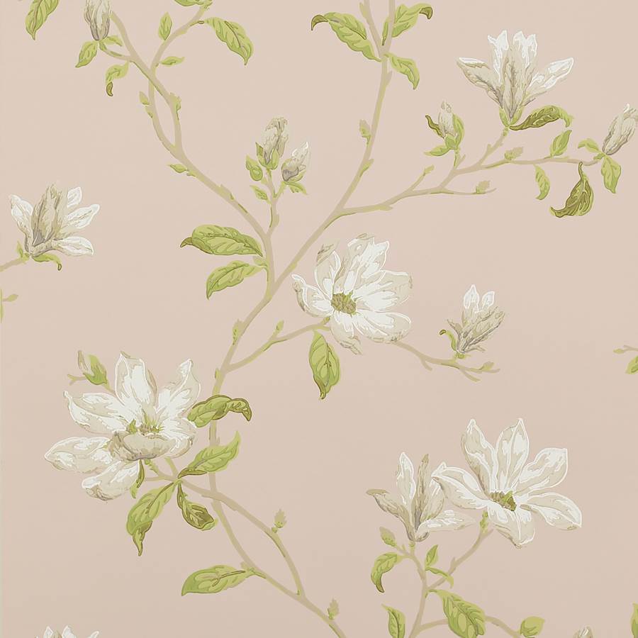 Colefax Fowler Wallpaper Marchwood Shell Pink