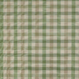 Colefax and Fowler Tyg Belgrave Check Green Beige