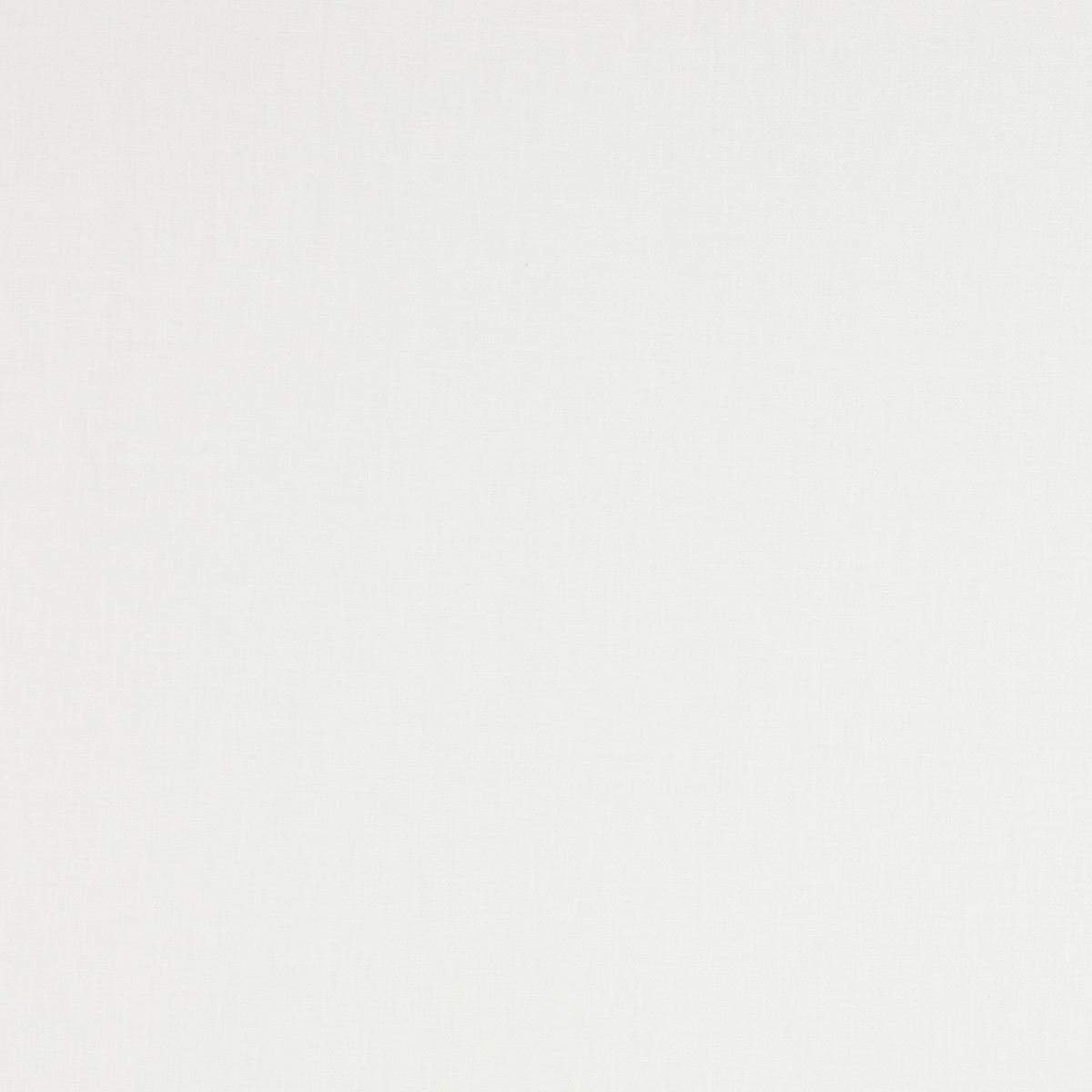 Colefax and Fowler Fabric Bute White
