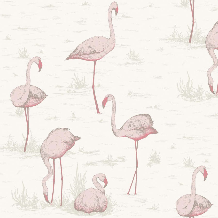 Cole and Son Tapete Flamingos 45