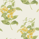 Cole and Son Behang Madras Violet 59